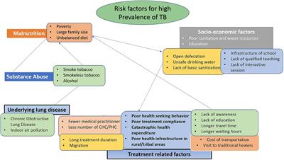 Determinants of tuberculosis: an example of high tuberculosis burden in the Saharia tribe